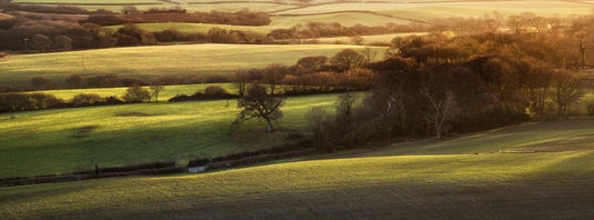 Hereford