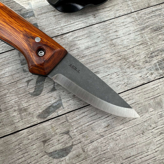 Desert Ironwood AEB-L Nomad - Ben & Lois Orford