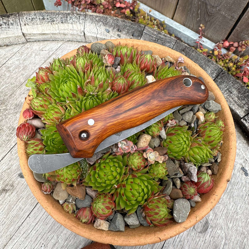 Load image into Gallery viewer, Desert Ironwood AEB-L Nomad - Ben & Lois Orford