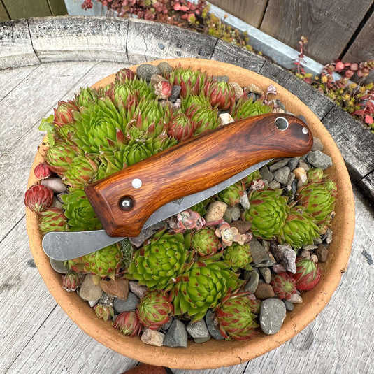 Desert Ironwood AEB-L Nomad - Ben & Lois Orford