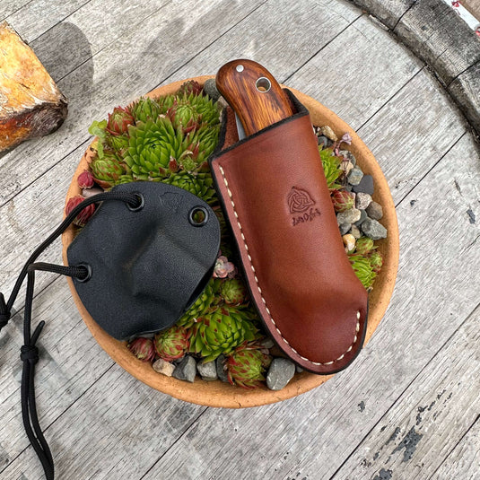 Desert Ironwood AEB-L Nomad - Ben & Lois Orford