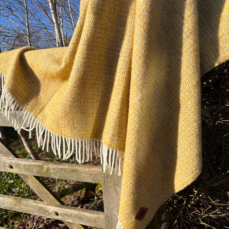 Load image into Gallery viewer, Buttercup