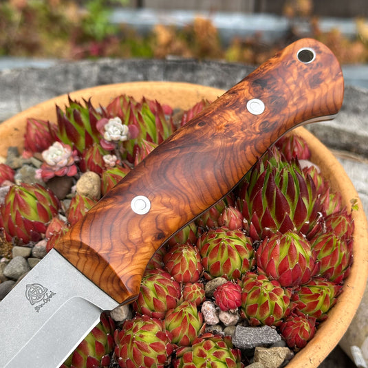 The Trapper - Sabre Grind/Burr Yew
