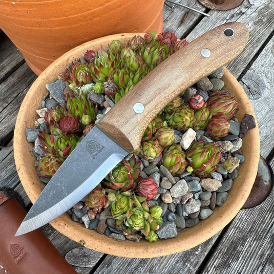 AEB-L English Elm Whittler - Ben & Lois Orford