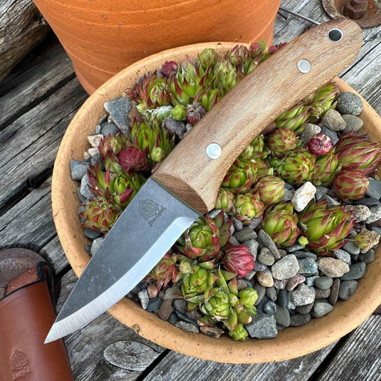 AEB-L English Elm Whittler - Ben & Lois Orford
