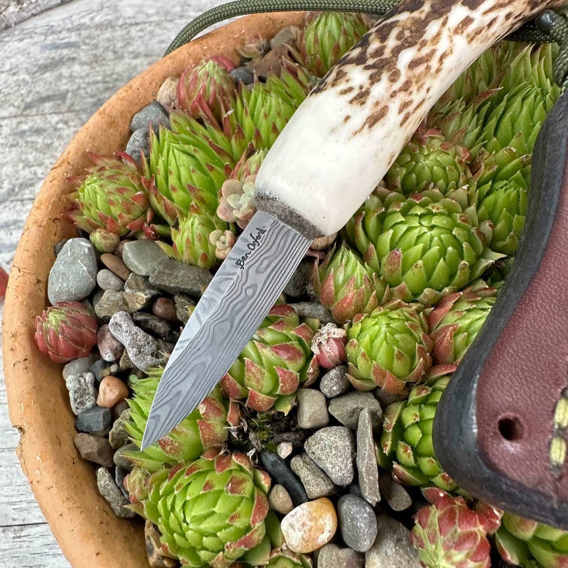 Load image into Gallery viewer, Damasteel Classic tine Field Knife

