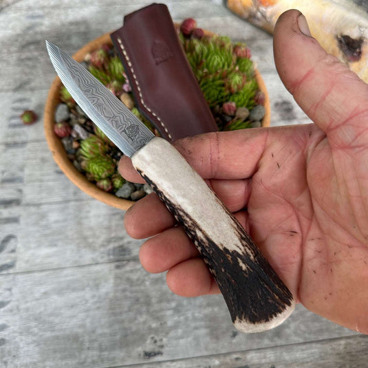 Damasteel Antler Sgian Dubh