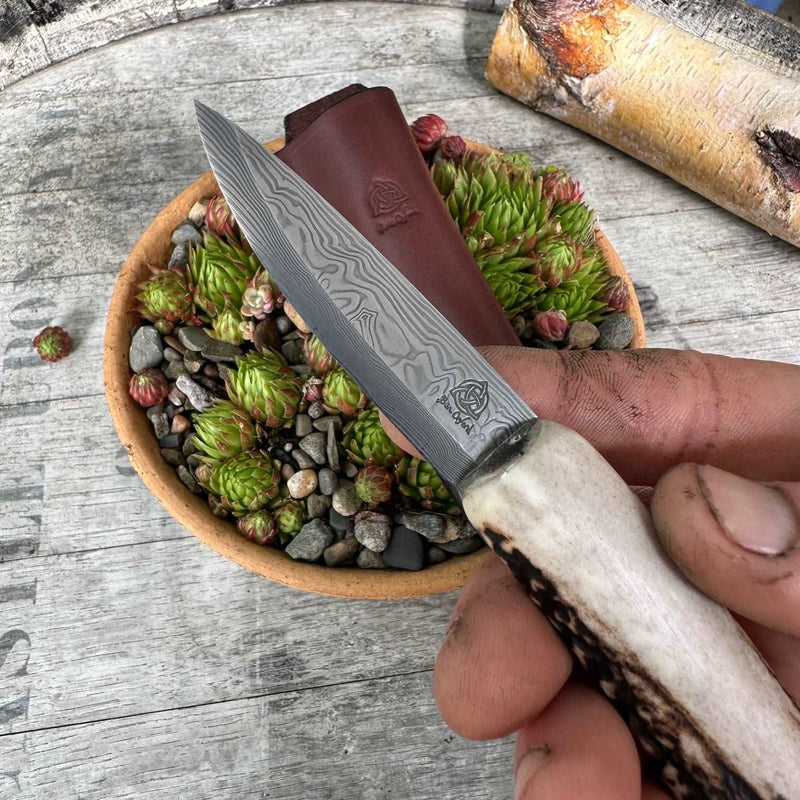 Load image into Gallery viewer, Damasteel Antler Sgian Dubh
