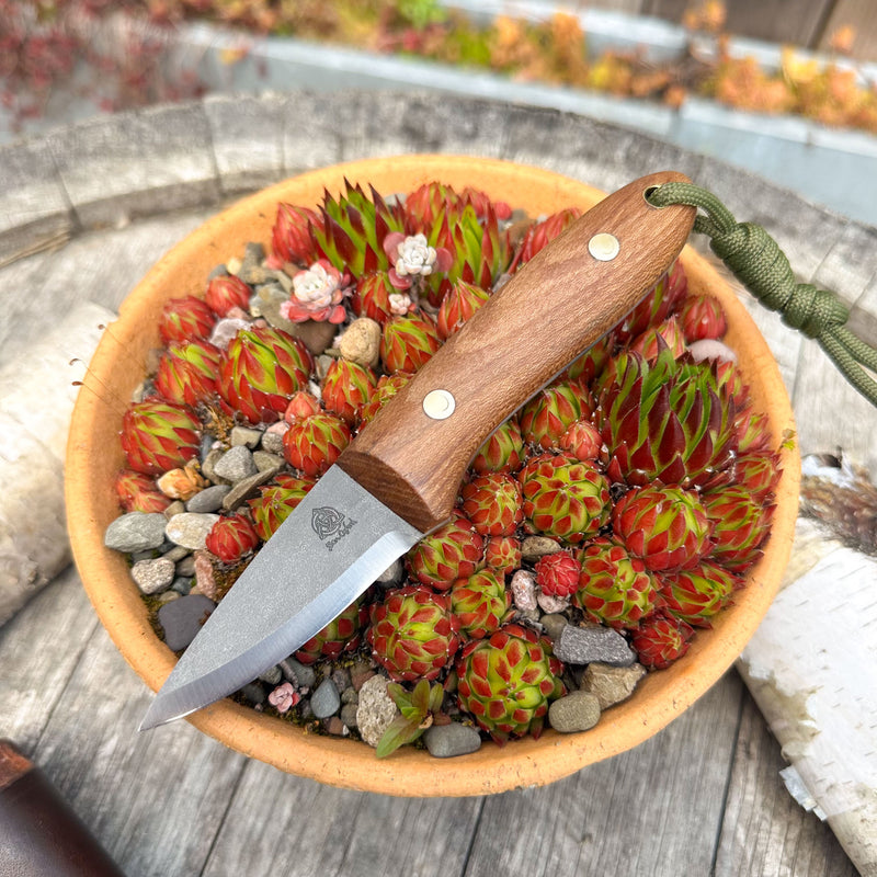 Load image into Gallery viewer, The Elementary Pixie
