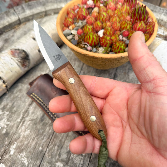 The Elementary Pixie