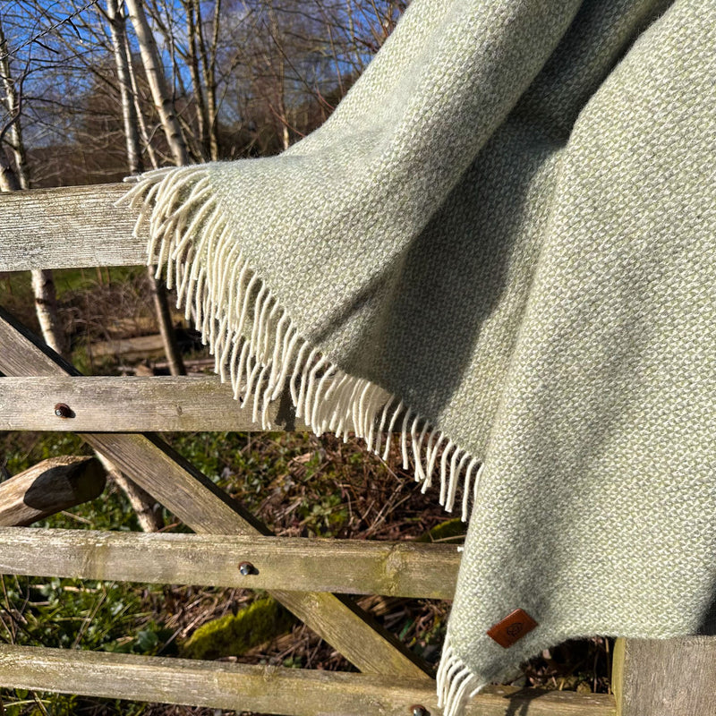 Load image into Gallery viewer, Forest Fern
