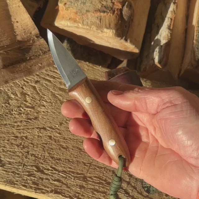 Load and play video in Gallery viewer, The Elementary Pixie
